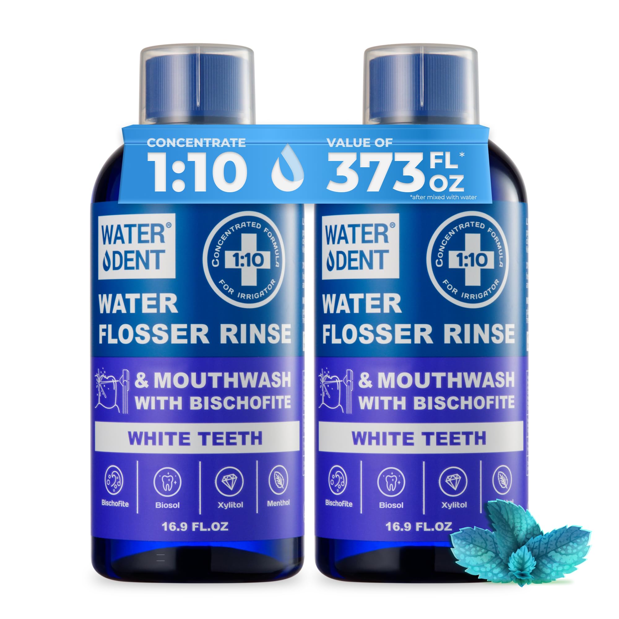 Concentrated Oral Irrigant Solution for Water Flossers - 373 fl.oz Pack of 2 | Alcohol-Free & Peroxide-Free Teeth Whitening Rinse | Refreshing Fruit Flavor Mouthwash Alternative | Made in USA | Perfect for Daily Dental Care & Gum Health Maintenance