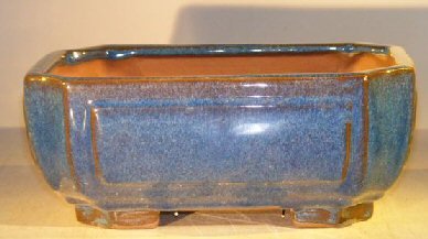 Premium Blue Ceramic Bonsai Pot - 10