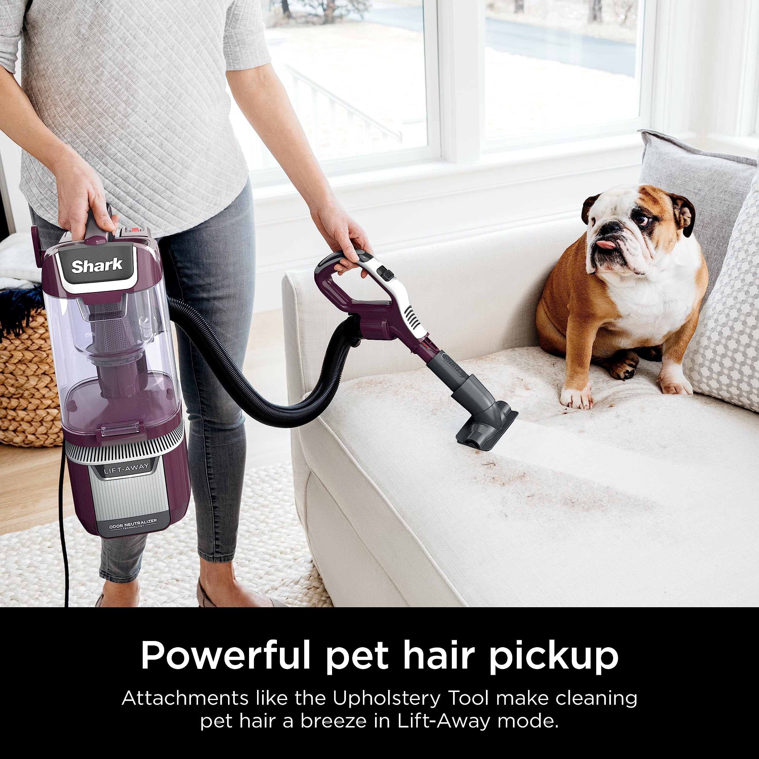 Shark LA702 Rotator Pet Lift-Away ADV Upright Vacuum Cleaner with DuoClean PowerFins, HairPro & Odor Neutralizer - 0.8 Qt Dust Cup, Wine Purple (Renewed) - Perfect for Pet Hair Removal & Deep Cleaning Carpets, Hard Floors & Stairs