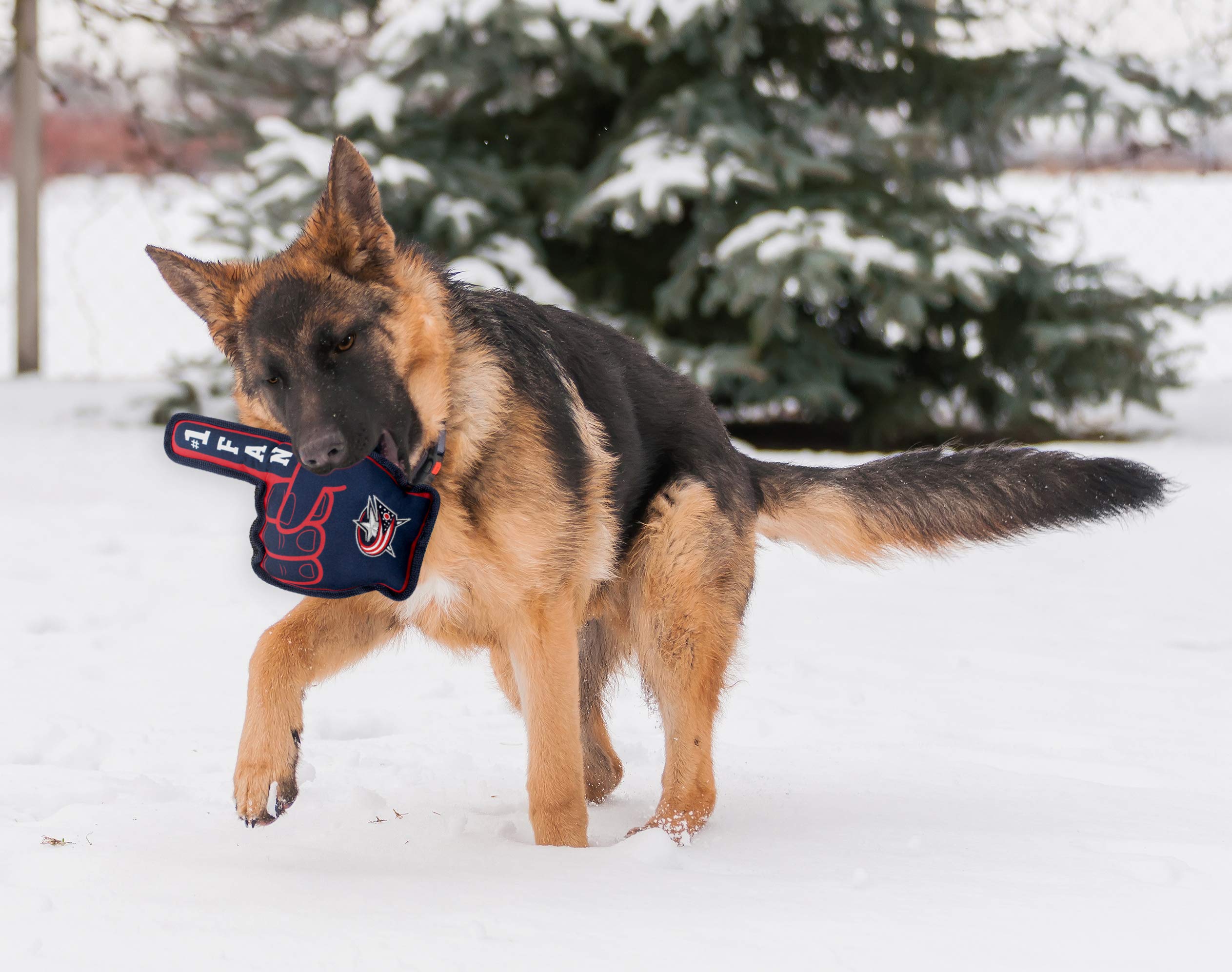 Premium NHL Columbus Blue Jackets #1 Fan Dog & Cat Toy – Durable Pet Chew Toy with Inner Squeaker for Strong Chewers – Best Sports-Themed Pet Gift for Dogs & Cats – Perfect for Playtime, Training, and Sports Fan Celebrations