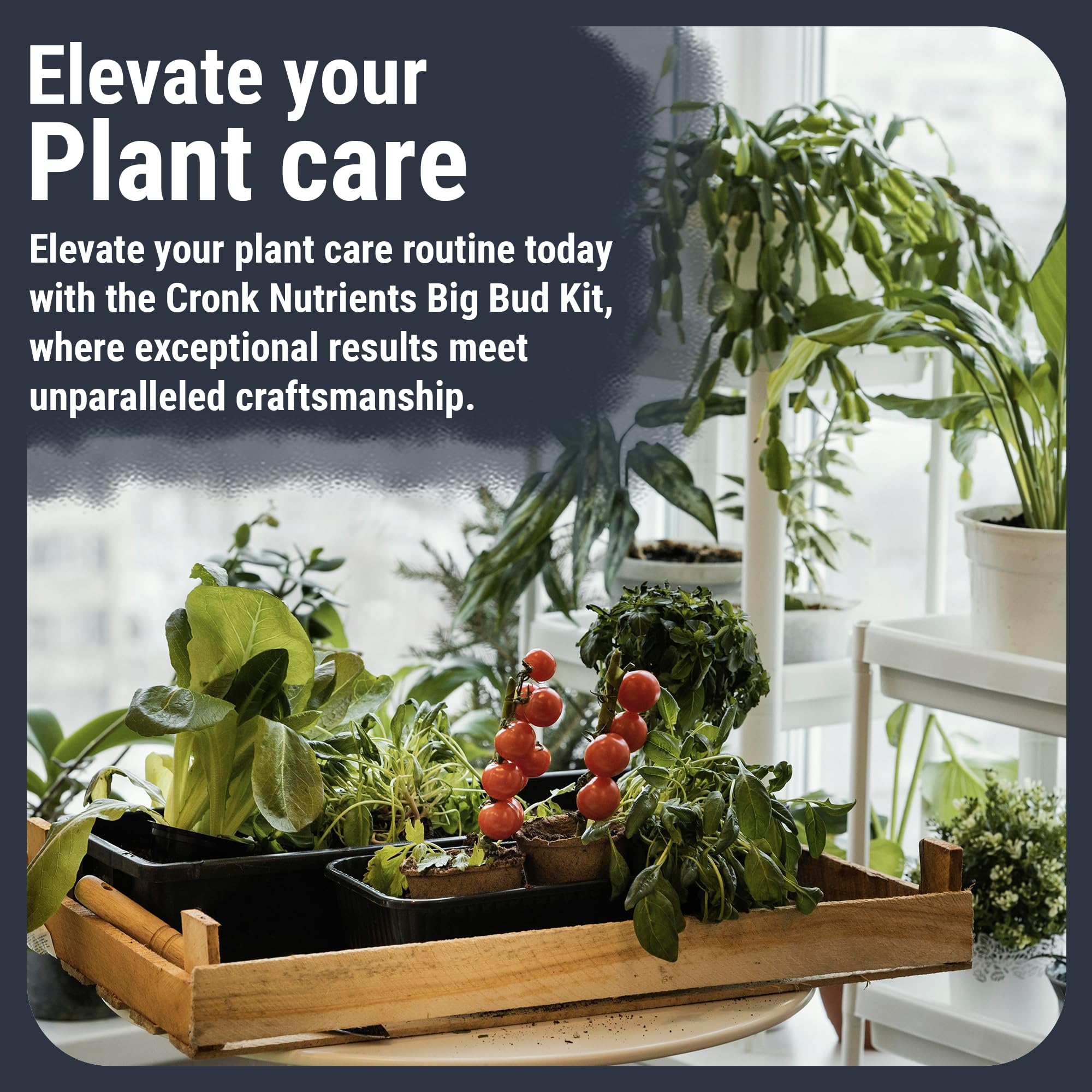 Cronk Nutrients Big Bud Kit: Complete Nutrient System for Plants – Micro, Grow, Bloom, Bud Booster & CalMag – Best Indoor & Outdoor Plant Fertilizer – Easy to Use for Strong Growth & Bigger Flowers, 1L – Perfect for Hydroponics, Soil Gardening & Boosting Flowering Plants