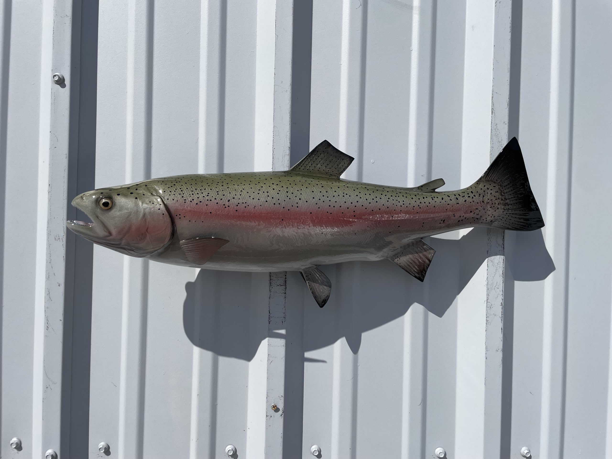 Trout Fish Mount Replicas - Lifelike Wall Decor for Home & Office - Indoor/Outdoor Durable Display - Perfect for Fishing Enthusiasts & Cabin Decor