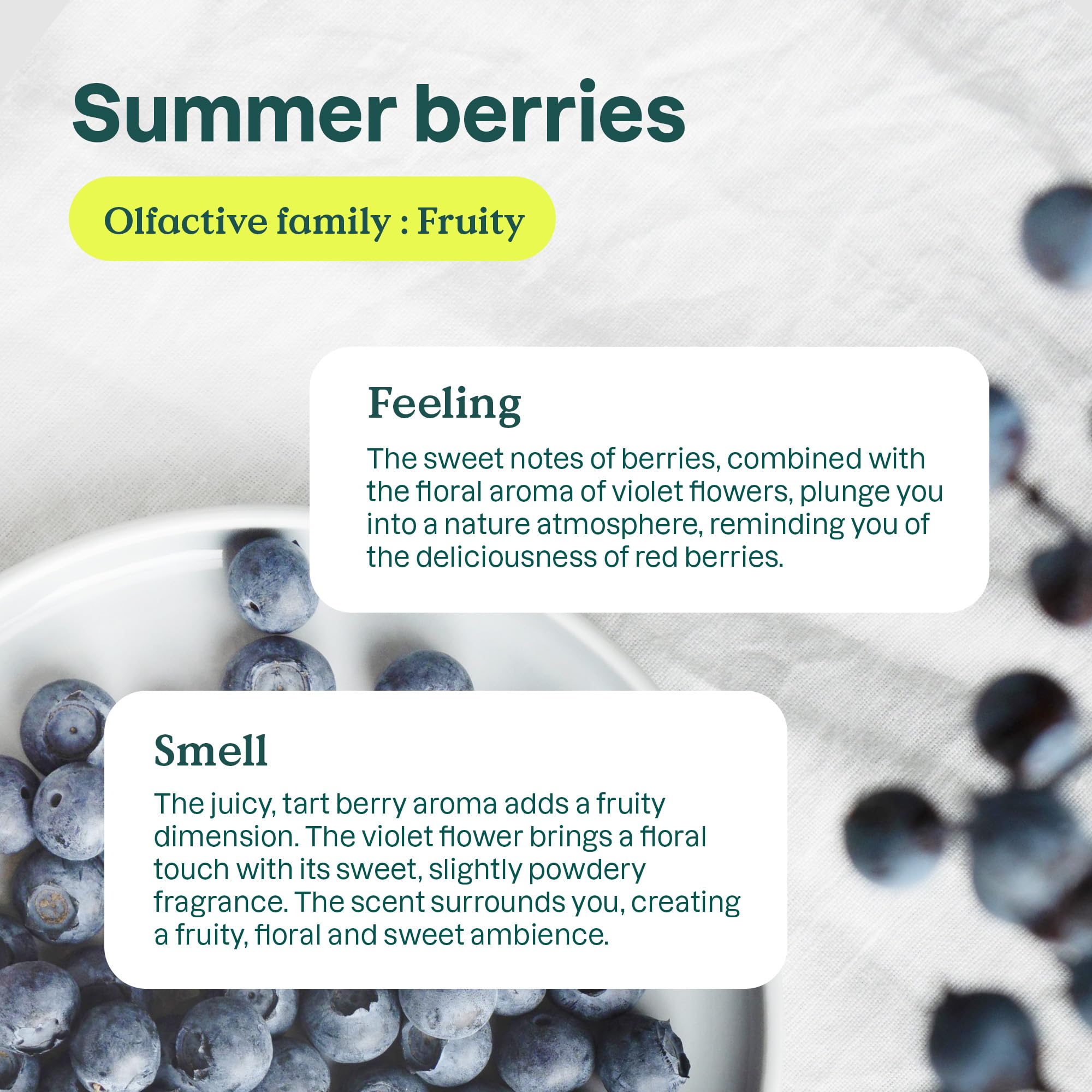 ATTITUDE Liquid Laundry Detergent - EWG Verified, HE Compatible, Vegan & Plant-Based, Cruelty-Free | Summer Berries Scent | Bulk Refill (67.6 Fl Oz, Pack of 4) for 80 Loads | Perfect for Eco-Friendly Families, Sensitive Skin & Sustainable Laundry Care