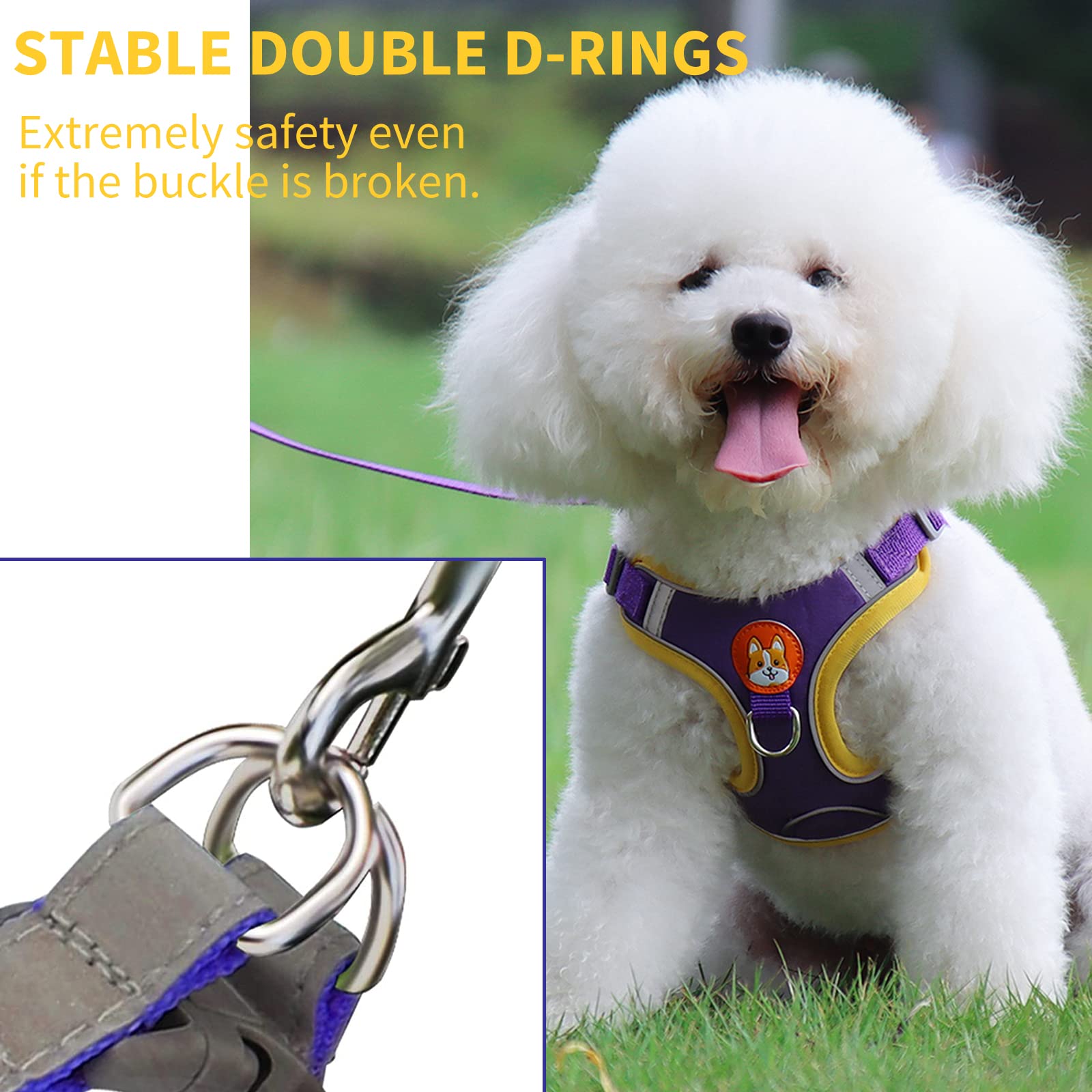 Adjustable No-Pull Dog Harness for Small & Medium Dogs - Reflective Puppy Vest Harness with 2 Leash Clips & Comfort Padding | Perfect for Walking, Training & Outdoor Adventures