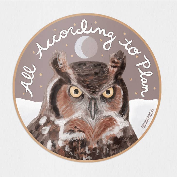 All According to Plan Owl Stickers - Cute Planner Stickers for Bullet Journals, Scrapbooks & DIY Crafts - Perfect for Planning, School Supplies & Gift Giving