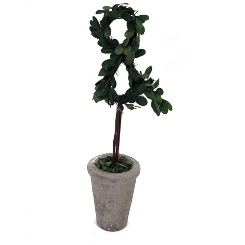 Forest Green &