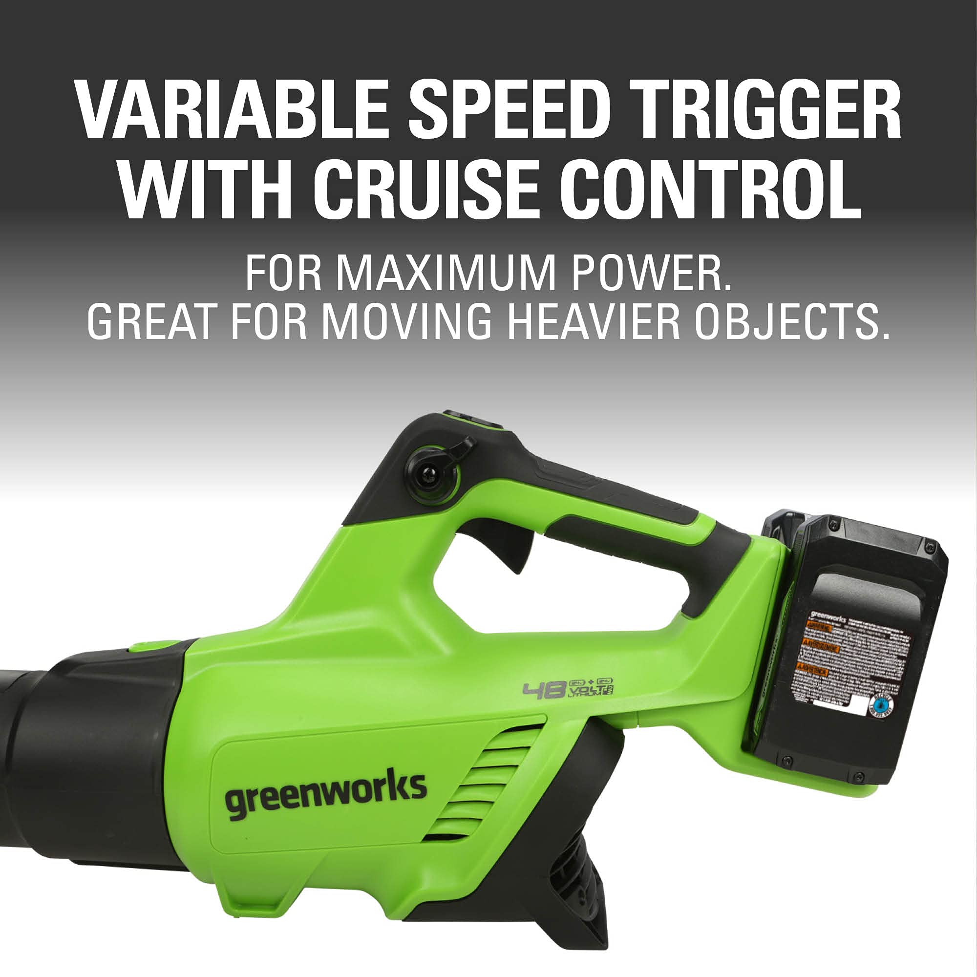 Greenworks 48V Cordless Axial Leaf Blower Kit with 2 x 24V 2Ah USB Batteries & 4A Dual Port Charger - Powerful Yard Cleanup for Leaves, Grass Clippings & Debris