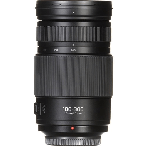 Panasonic Lumix G Vario 100-300mm f/4-5.6 II POWER O.I.S. Lens for Micro Four Thirds Cameras - Telephoto Zoom Lens with Optical Image Stabilization, Ideal for Wildlife, Sports & Travel Photography