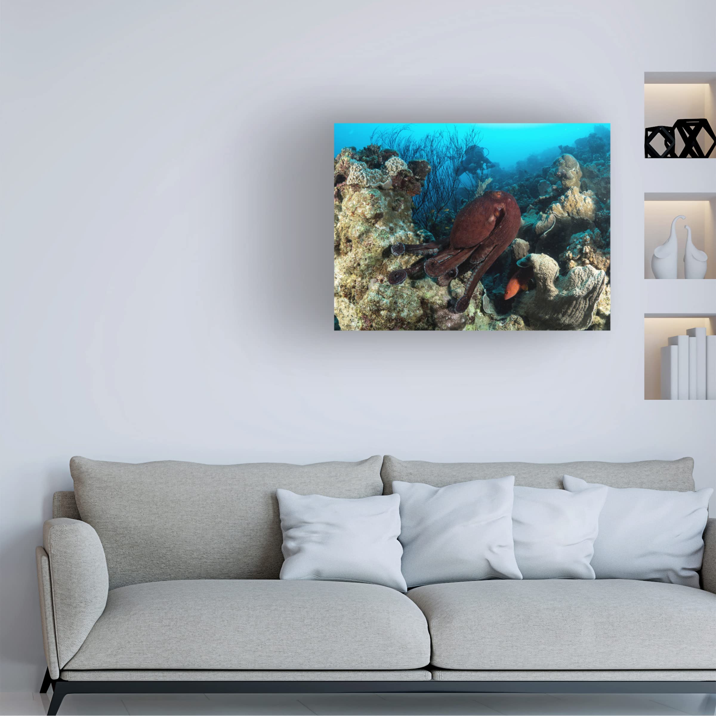 Trademark Fine Art 'Octopus Garden' Canvas Wall Art Print by Ilan Ben Tov - Perfect for Living Room, Bedroom & Office Decor