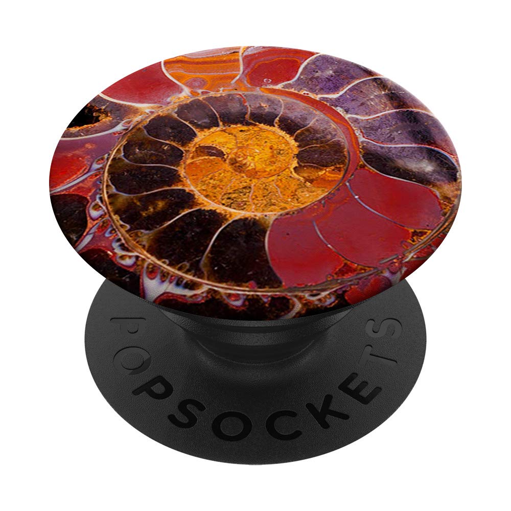 Black and Red Ammonite Fossil - Unique Gift for Fossil Collectors & Enthusiasts | Perfect for Home Decor, Geology Displays & Science Education