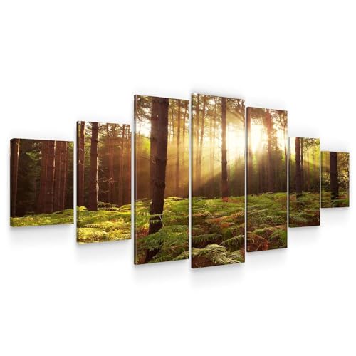 Green Forest Trees