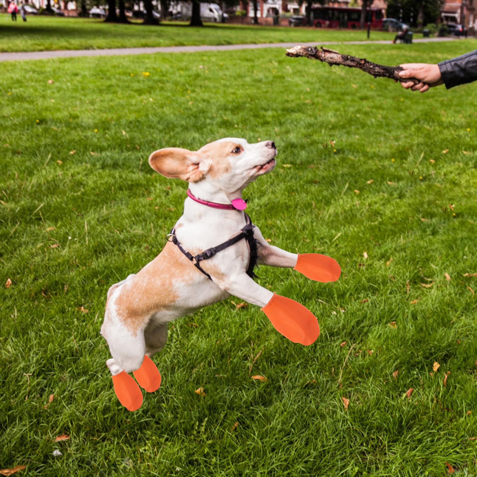 Hemobllo Waterproof Dog Boots for Small Dogs - 4Pcs Rubber Rain Shoes with Paw Protection for Pets (Orange, Size S) - Ideal for Rainy Days, Snow & Outdoor Adventures