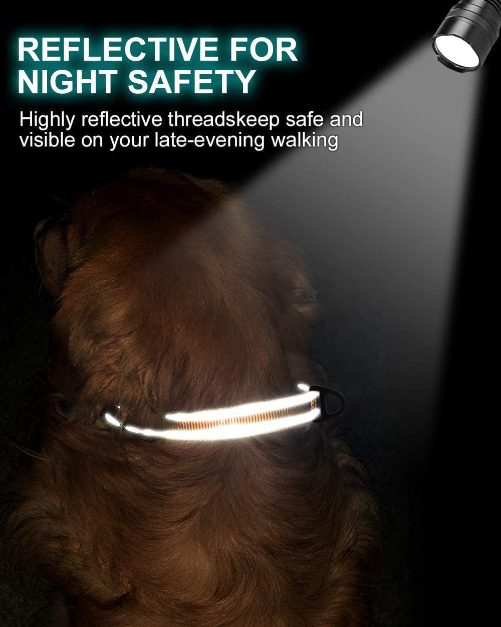 Personalized Dog Collar with Name Plate | Custom Engraved Reflective Pet Collar for Large Dogs | Khaki Color | Perfect for Night Walks & Outdoor Adventures