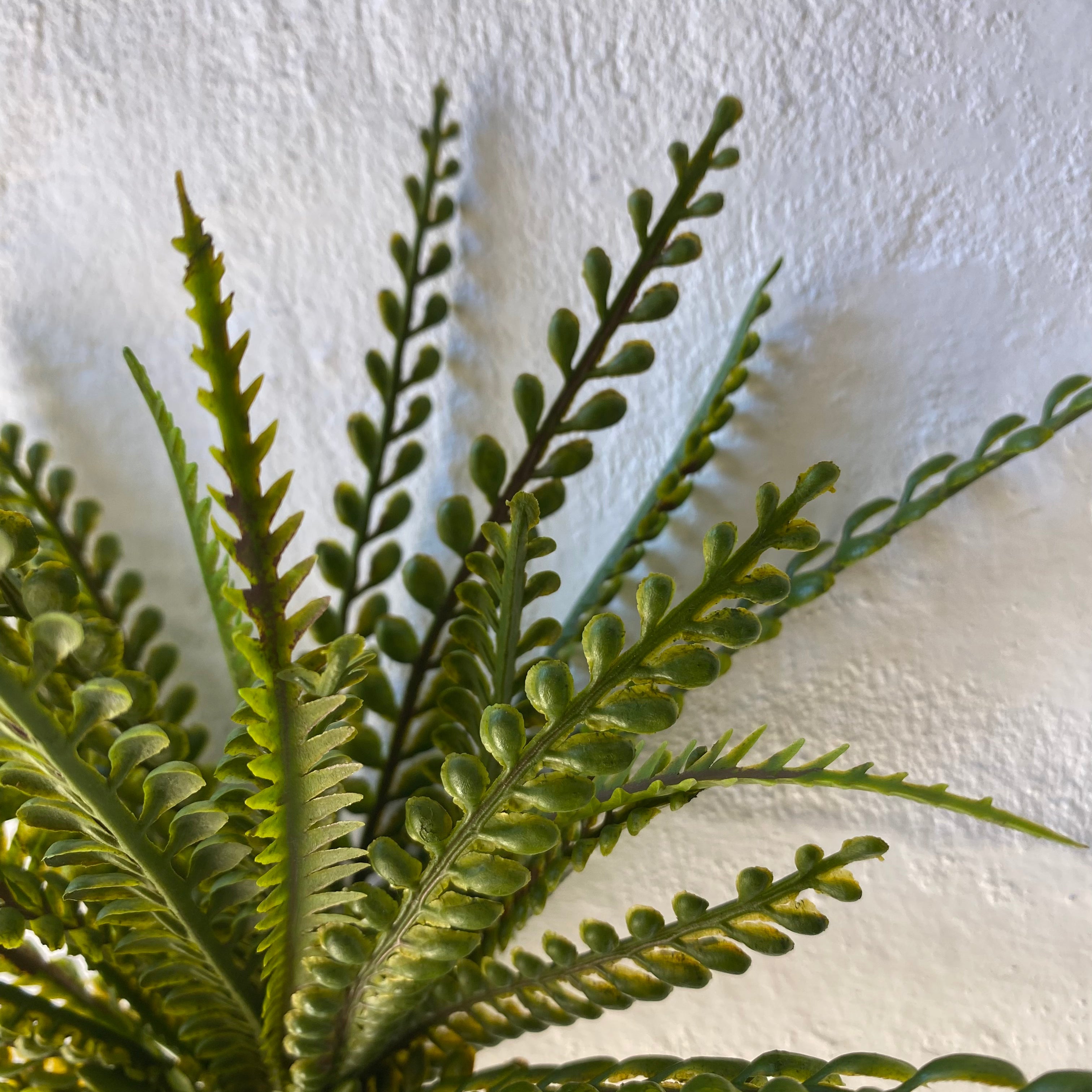 Artificial Lemon Fern Plant - Realistic Fake Faux Greenery Decor for Home Office Wedding Party - Perfect for Table Centerpieces, Shelf Displays & Indoor Greenery Arrangements