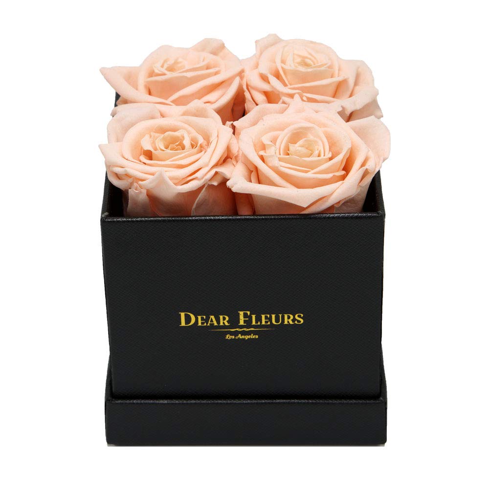 1 Year Lasting Real Preserved Roses in Small Square Box - Champagne & Black Leather Gift Box for Anniversary, Valentine's Day, Wedding Decor & Romantic Gifts