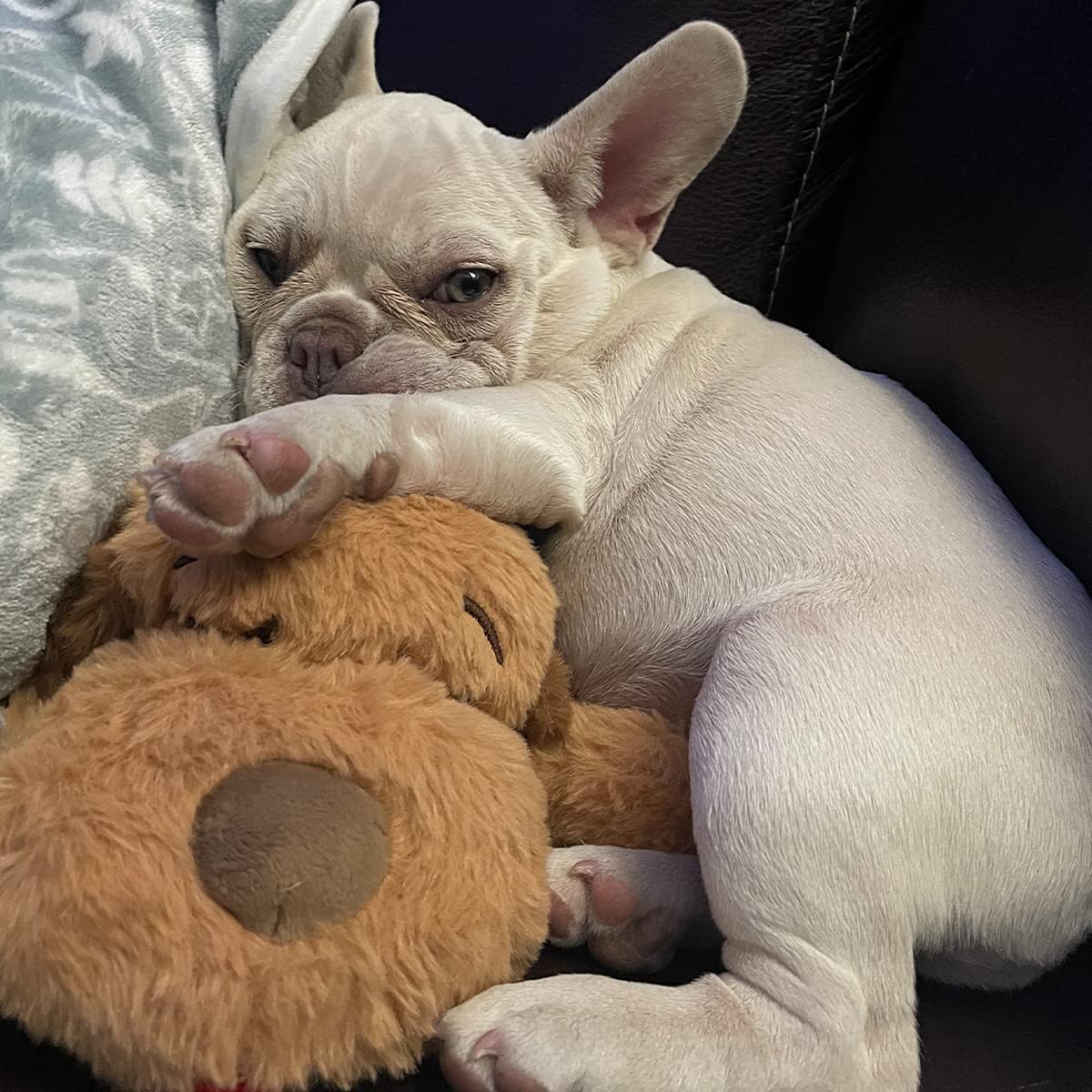 Original Snuggle Puppy Essentials Starter Kit - Heartbeat Dog Toy & Calming Aid with 3 Heat Packs, Puppy Teething Chew Toy & Soft Blanket for Anxiety Relief | Perfect for New Puppies, Separation Anxiety & Crate Training