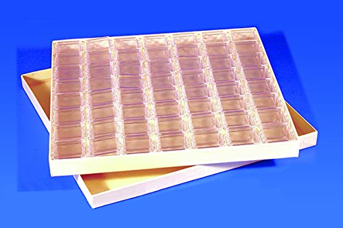 100-Piece Tray Set for Food Storage & Serving - BPA-Free Plastic Containers for Parties, Picnics & Meal Prep (100 Boxes/Set)