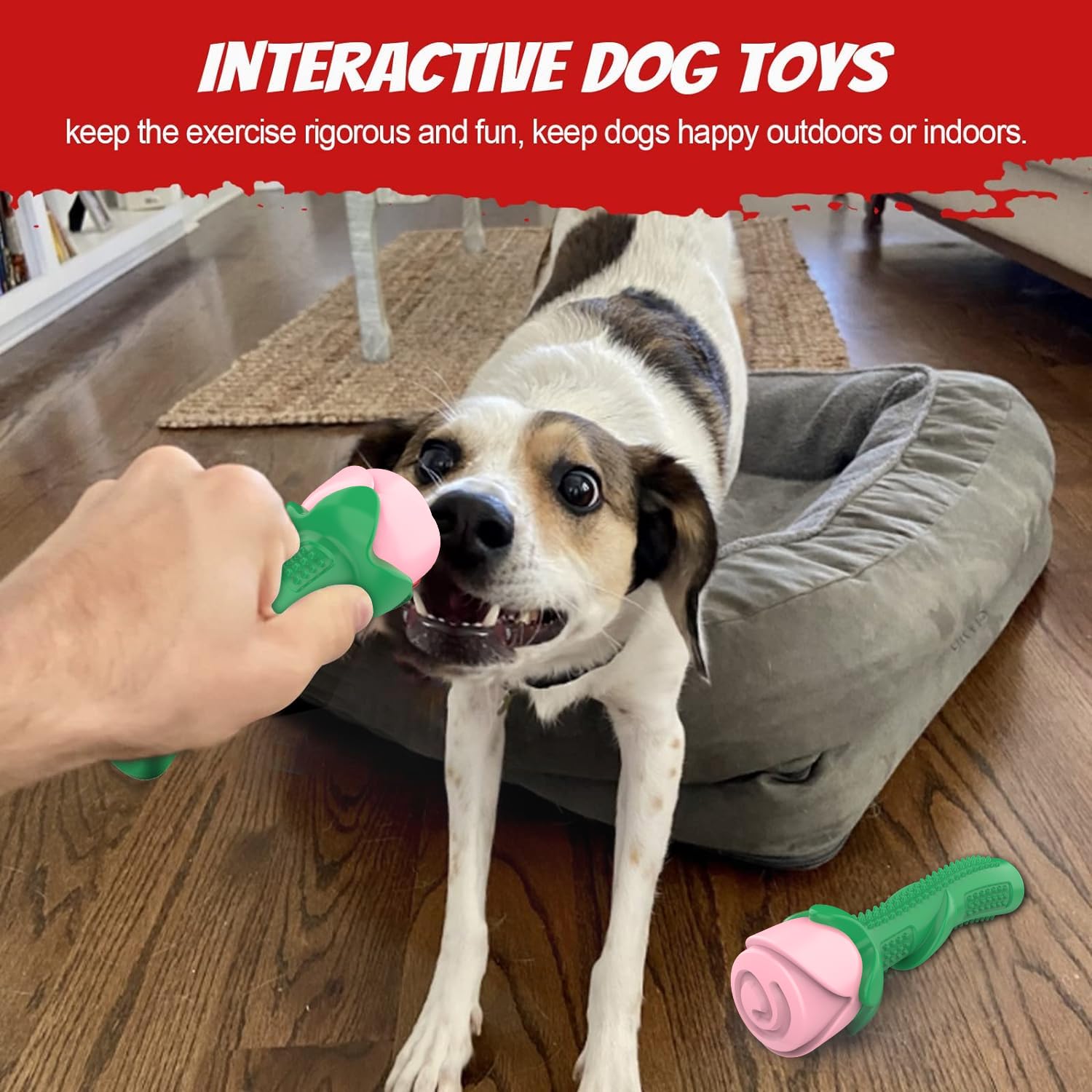 Durable Dog Chew Toys for Aggressive Chewers - Interactive Pet Training Toys with Teeth Cleaning Benefits (Champagne & Rose Colors) - Perfect for Playtime, Training Sessions, and Dental Care