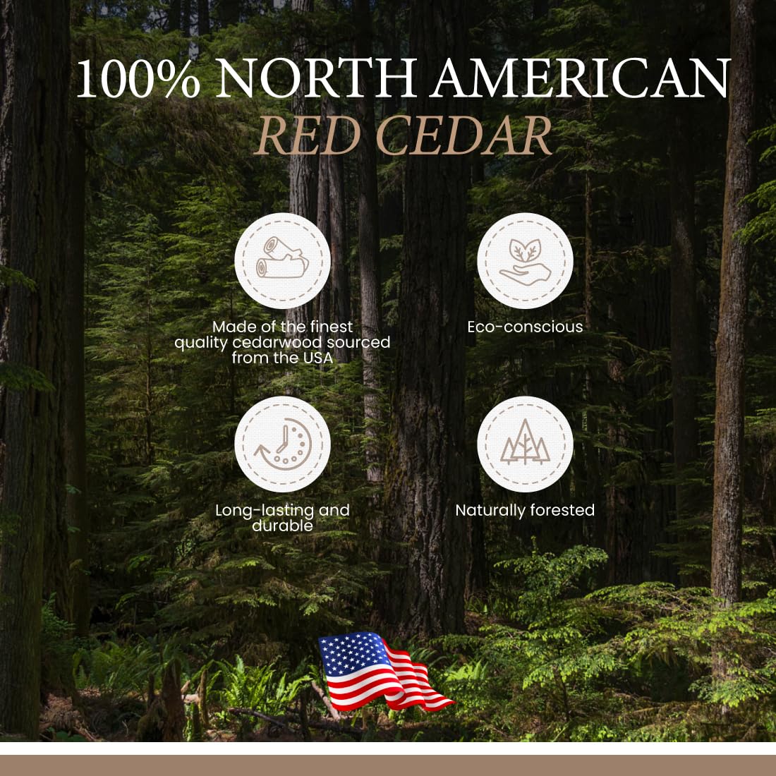 Premium Cedar Wood Shoe Trees for Men - Rochester Shoe Care Accessories - Keep Dress Shoes & Boots Fresh & Odor-Free - Perfect for Formal Wear & Office Use