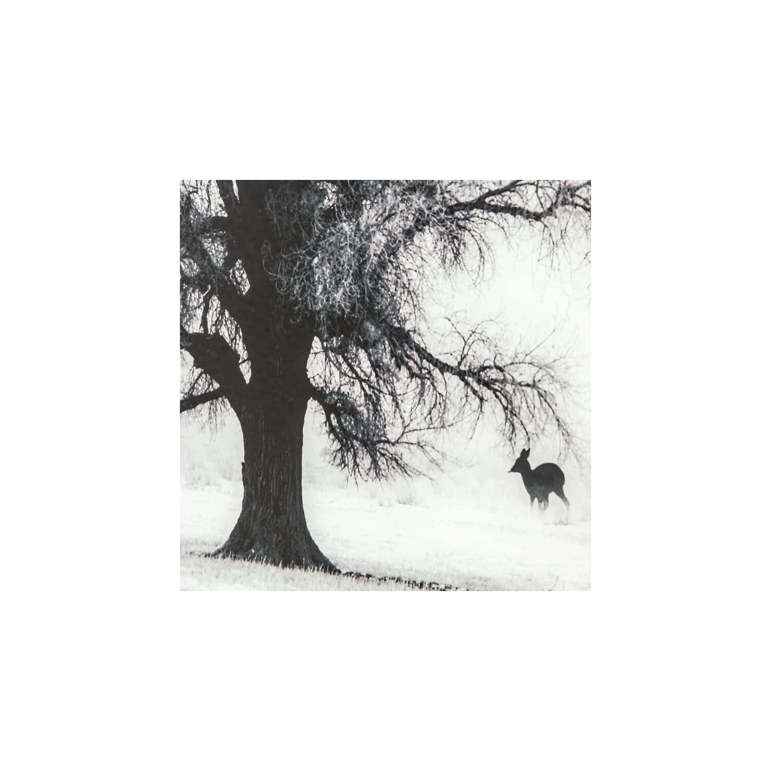 Yosemite Home Decor Winter Morning Fog II Wall Art - Stunning Landscape Print for Living Room, Bedroom & Office Decor