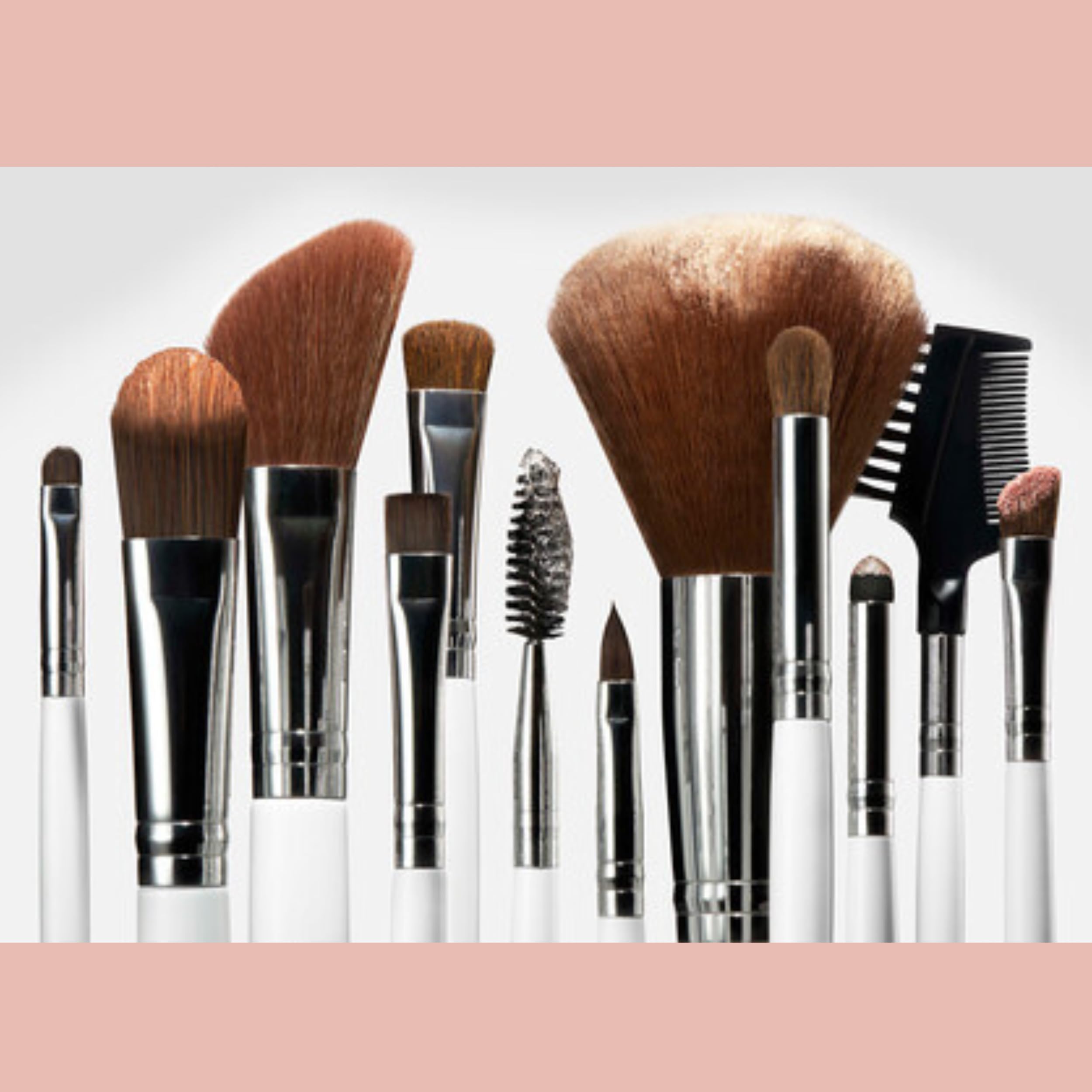 10Pcs Professional Makeup Brush Set - Concealer, Eyelash & Eyeshadow Brushes for Flawless Makeup Application | Perfect for Daily Use, Travel & Professional Makeup Artists