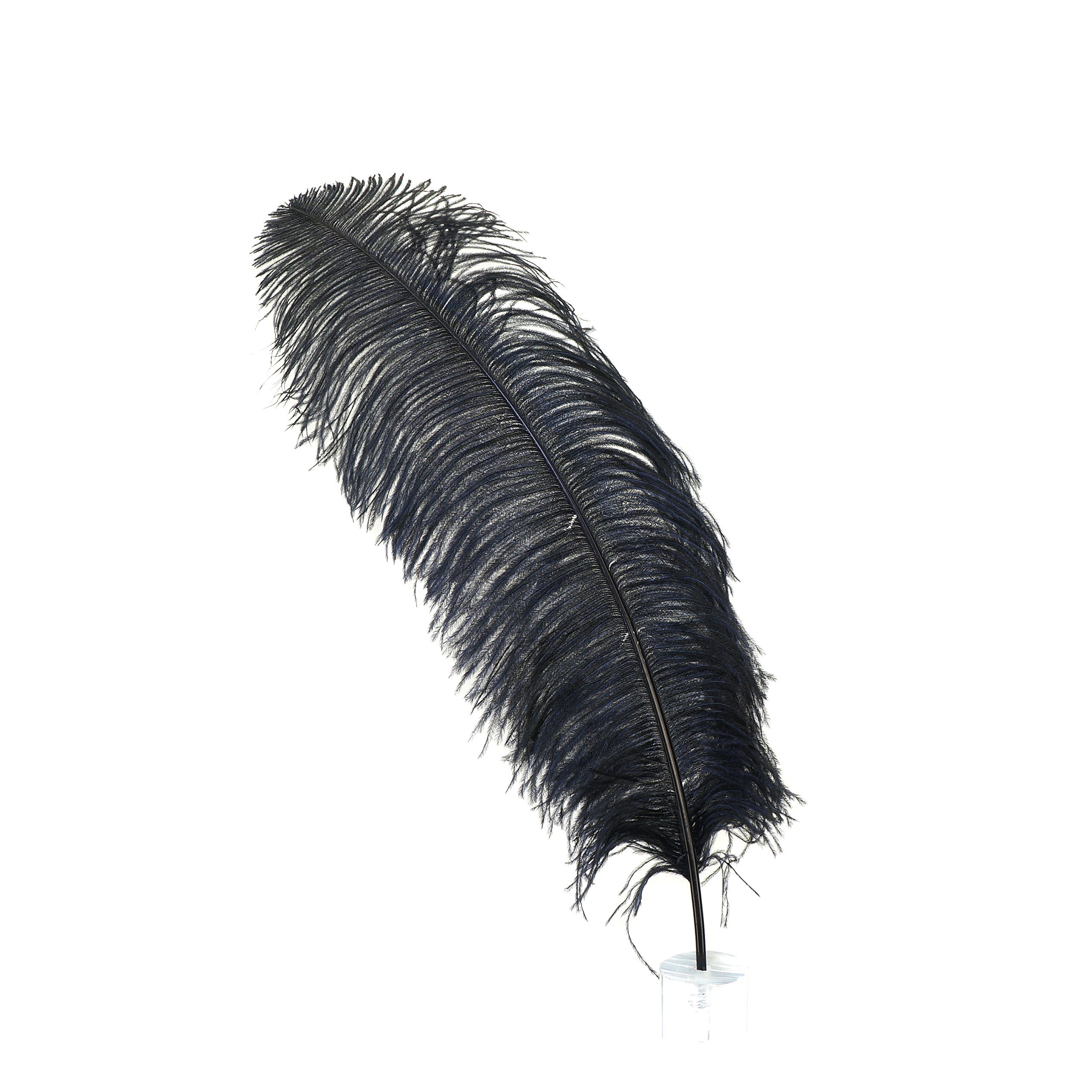 Premium ZUCKER Ostrich Feathers - 17-25 Inches Tall - 25pcs Pack - Black Event Decor for Weddings, Centerpieces, Home Decoration & DIY Crafts - Perfect for Table Settings, Vase Arrangements and Party Decorations