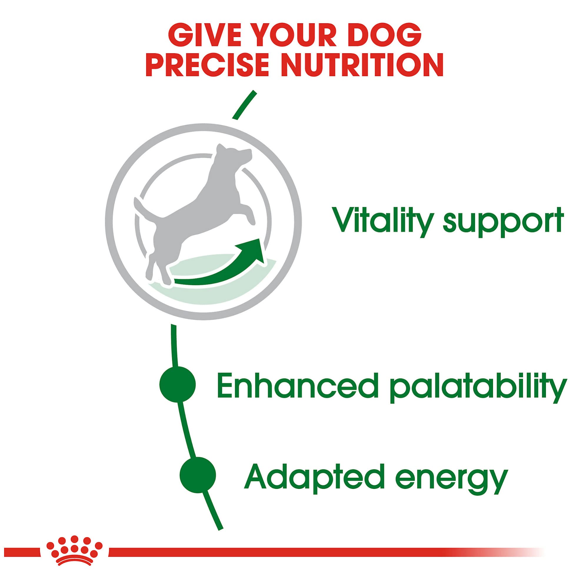 Royal Canin Small Adult 8+ Dry Dog Food for Senior Small Breed Dogs - 13 lb Bag - Supports Joint Health & Digestion - Perfect for Aging Small Dogs at Home or Travel