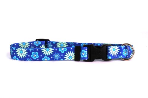 Teal Flowers