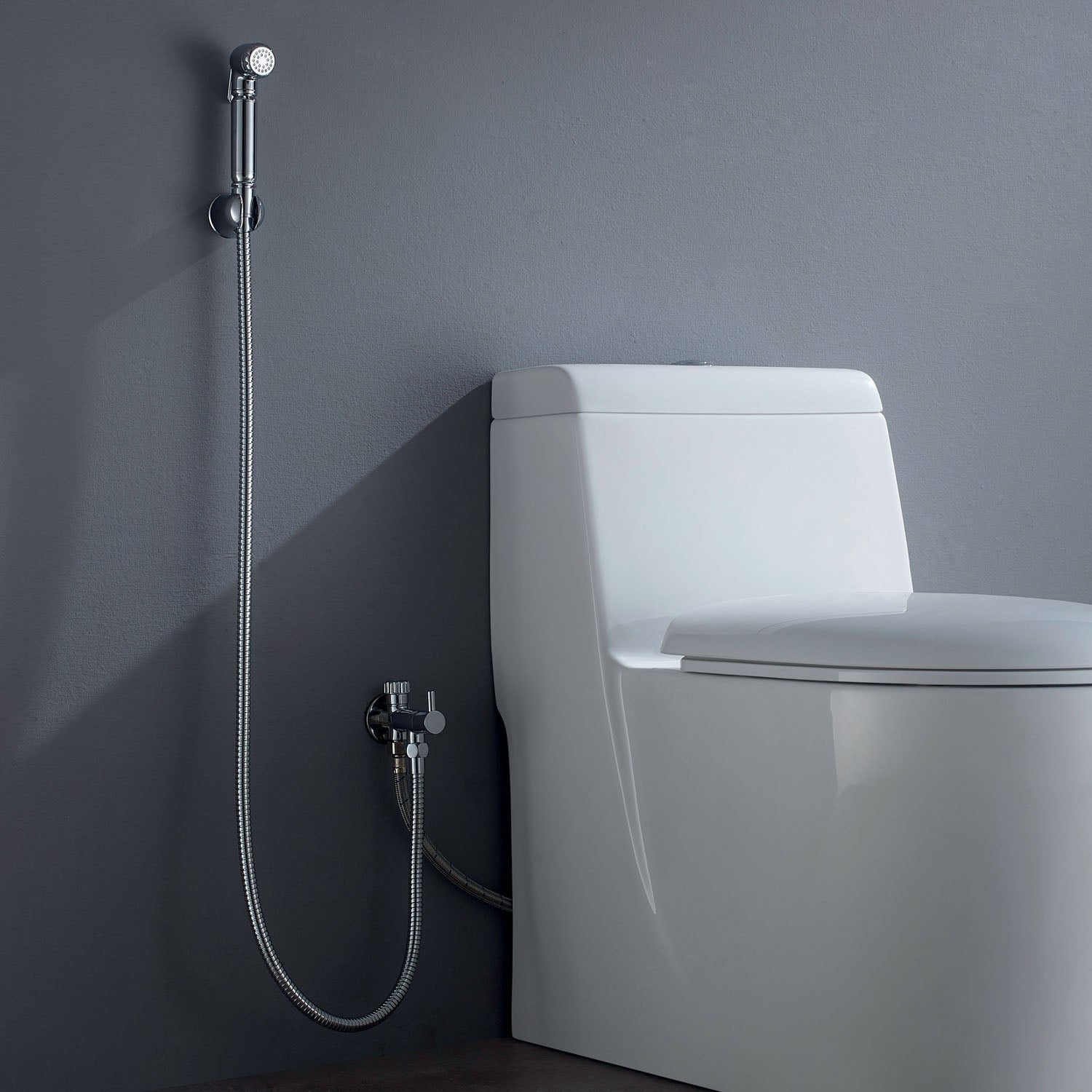 DAX 9317C Brass Wall Mount Hand Shower Set with Hose & Valve - Chrome Finish for Bathroom & Spa Relaxation