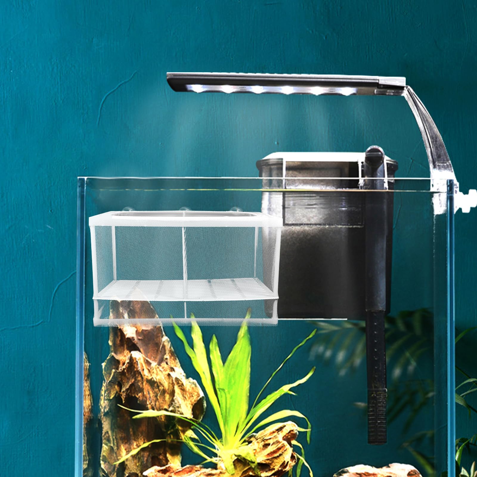 Balacoo 2Pcs Aquarium Breeding Box with Suction Cups - for Baby Fish, Shrimp & Guppy - Perfect for Hatchery & Tank Separation