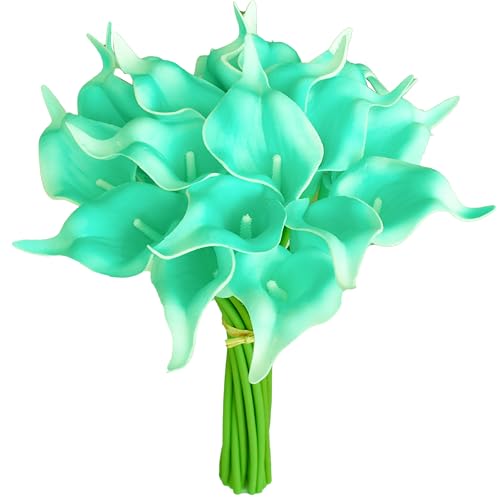 Robin Egg Blue