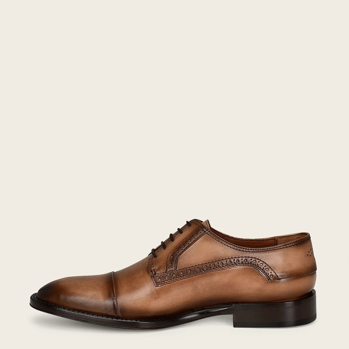 D24TVTV Brown Franco Cuadra Men's Dress Shoes - Premium Leather Formal Shoes for Business, Wedding & Special Occasions
