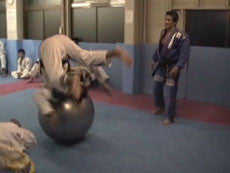 Cobrinha Jiu Jitsu Vol 1 Instructional DVD with Rubens Charles - Learn Brazilian Jiu Jitsu Techniques for Competition & Self Defense