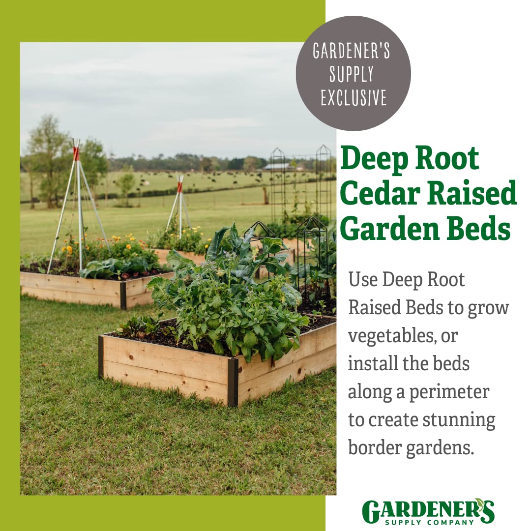 **Extra Deep Raised Garden Bed 4'x8'x14