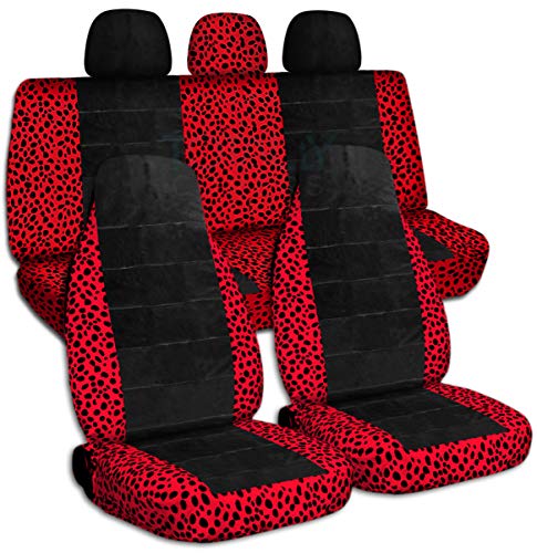 Ladybug & Black