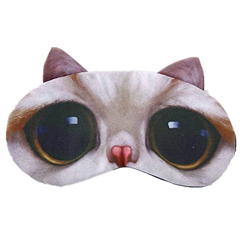 Cat #13