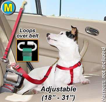 Medium Baby Blue Pet Seat Belt Tether for Car Safety - Secure Your Dog or Cat During Travel - Perfect for Road Trips & Vet Visits