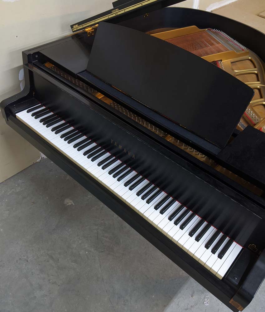 1984 Yamaha GH1 5'3