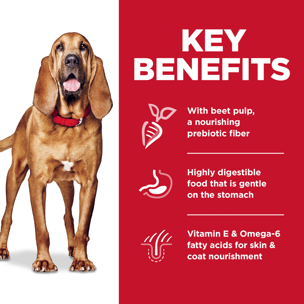 Hill's Science Diet Sensitive Stomach & Skin Large Breed Adult Dry Dog Food - Chicken & Barley Recipe for Digestive Health & Skin Care - Perfect for Large Dogs with Sensitive Stomachs or Skin Allergies