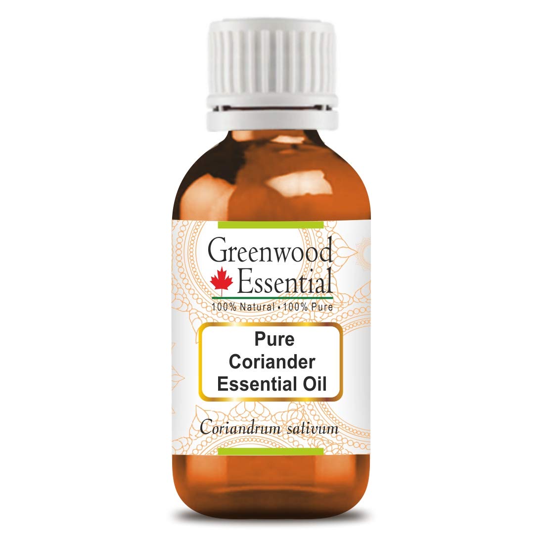 Pure Coriander Essential Oil (Coriandrum sativum) - 10ml Natural Therapeutic Grade, Steam Distilled for Aromatherapy, Massage & DIY Skincare