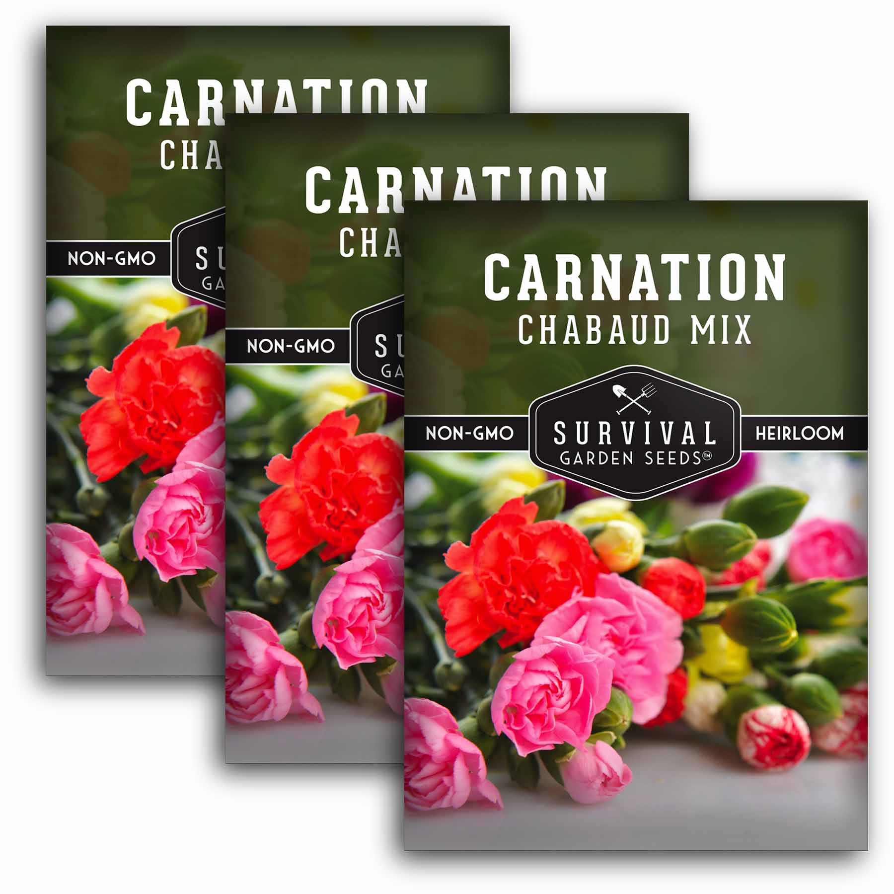 Chabaud Mix Carnation Seeds - Dianthus Caryophyllus Flower Seeds for Garden, Bouquets & Landscaping | Fragrant Cut Flowers for Home Decor & Wedding Arrangements
