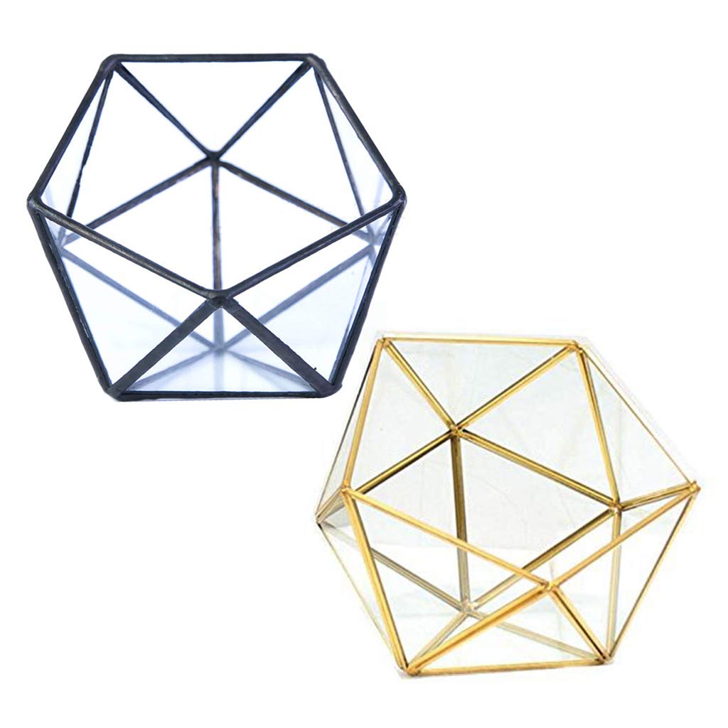 Glass Geometric Terrarium Box - Jewelry Holder & Succulent Planter for Home Decor (Black/Gold, No Plant Included) | Perfect for Tabletop Display, Wedding Centerpieces, and Office Desk Decor