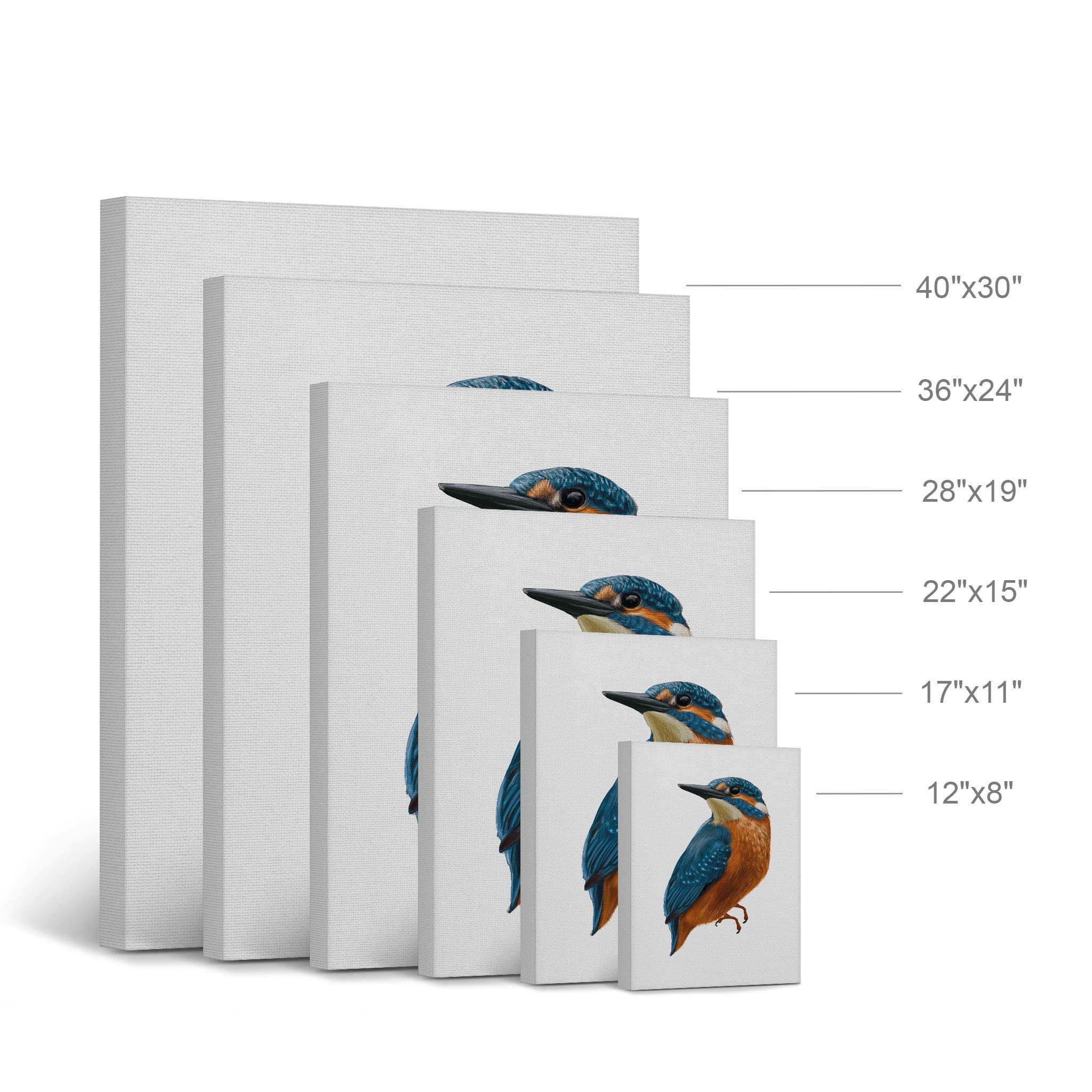 Beautiful Blue Kingfisher Bird Illustration Canvas Print - Woodland Animal Wall Art for Pet Bird Lovers, Office, Bedroom, Veterinary & Nursery Decor - 40x30 - Perfect for Home, Kids Room & Wildlife Themed Spaces