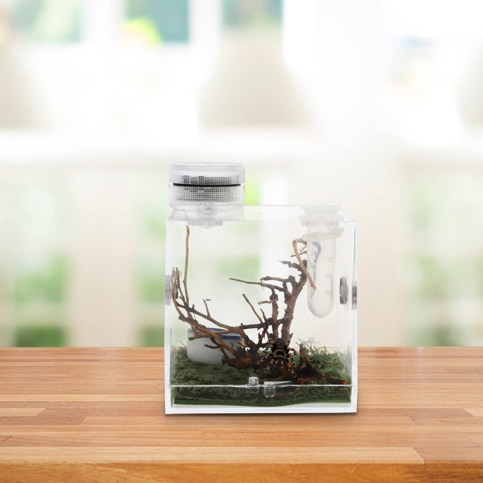 Premium Acrylic Reptile Terrarium with Built-in LED Light - 20 Gallon Transparent Spider Enclosure Habitat for Tarantulas, Lizards & Small Pets - Perfect for Home, Office or Classroom Display