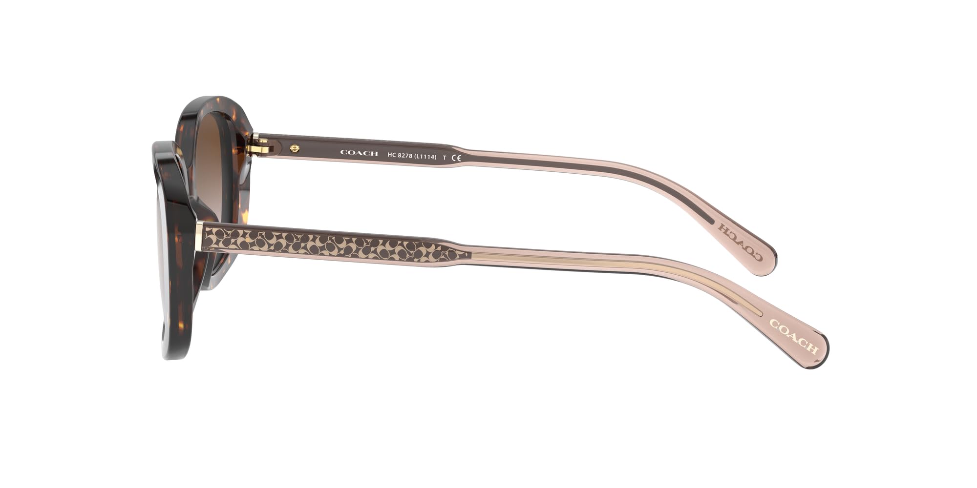 Coach HC8278 Sunglasses for Women - Dark Tortoise/Brown Gradient Lenses, 53mm UV Protection - Perfect for Driving, Beach & Outdoor Activities