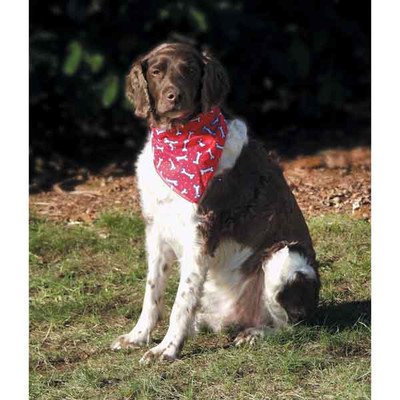 Stylish Dog Bandanas Set of 4 - Red Bone Pattern Pet Bandanas for Small Medium Large Dogs | Perfect for Pet Fashion, Photo Shoots & Outdoor Adventures