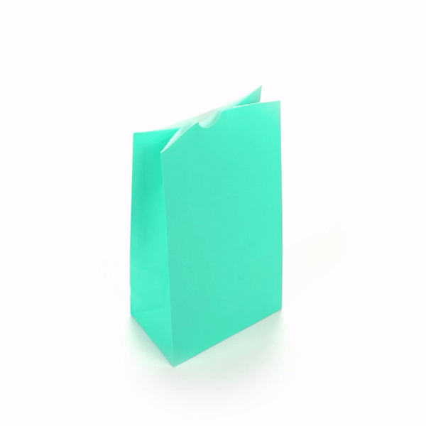 Premium Turquoise Paper Bags - 6 lbs, 6