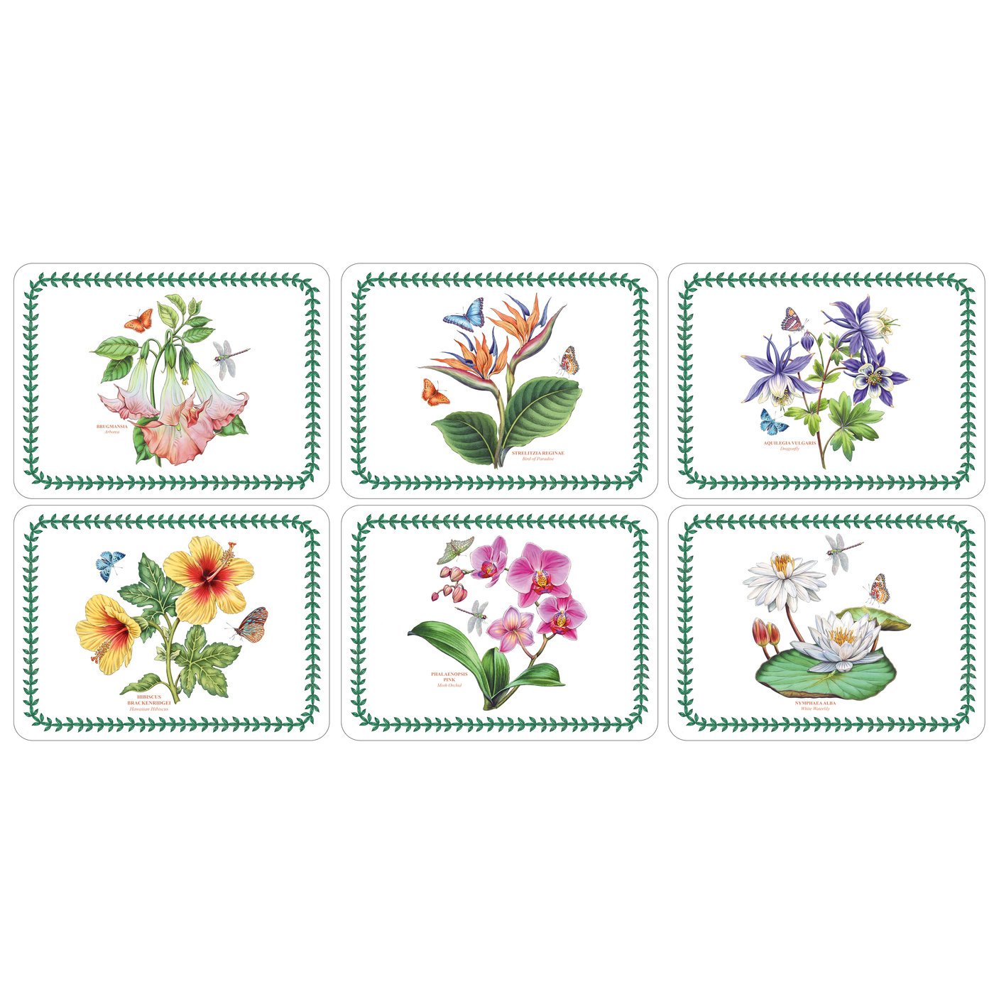 Portmeirion Exotic Botanic Garden Placemats Set of 6 - 12