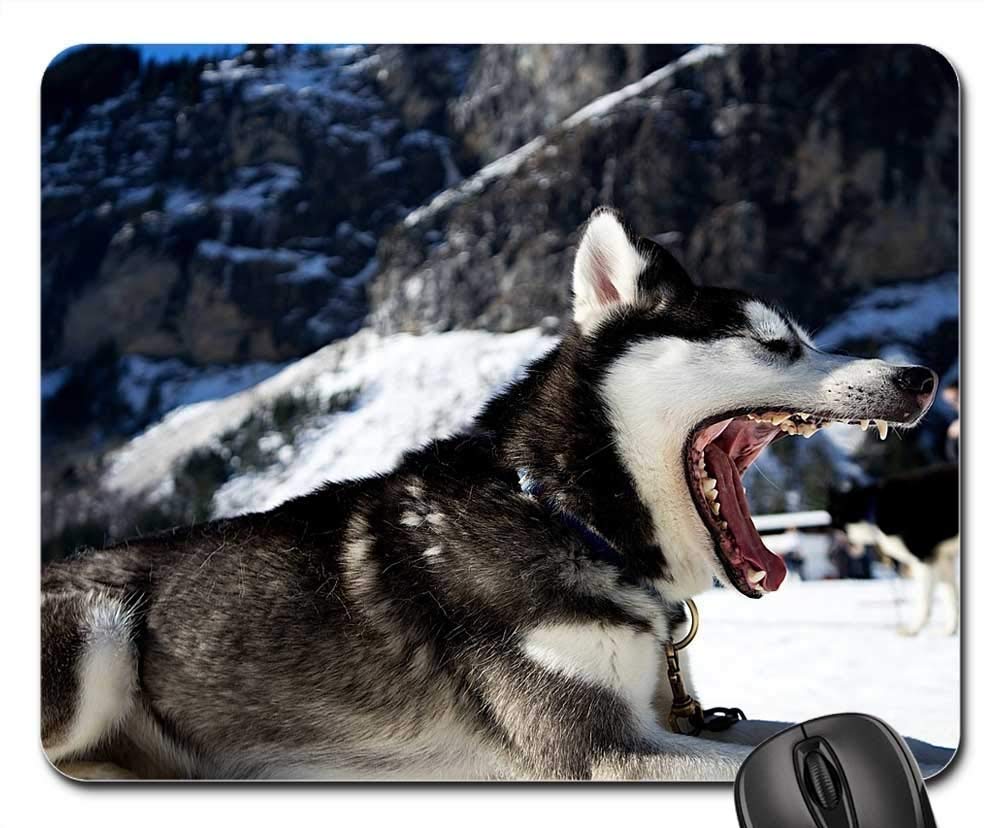 Premium Gaming Mouse Pad with Non-Slip Base - Cute Husky Dog Yawning Design - Perfect for PC, Laptop, Office & Gaming Setup - Winter Snow Themed Desk Accessory for Gamers & Pet Lovers