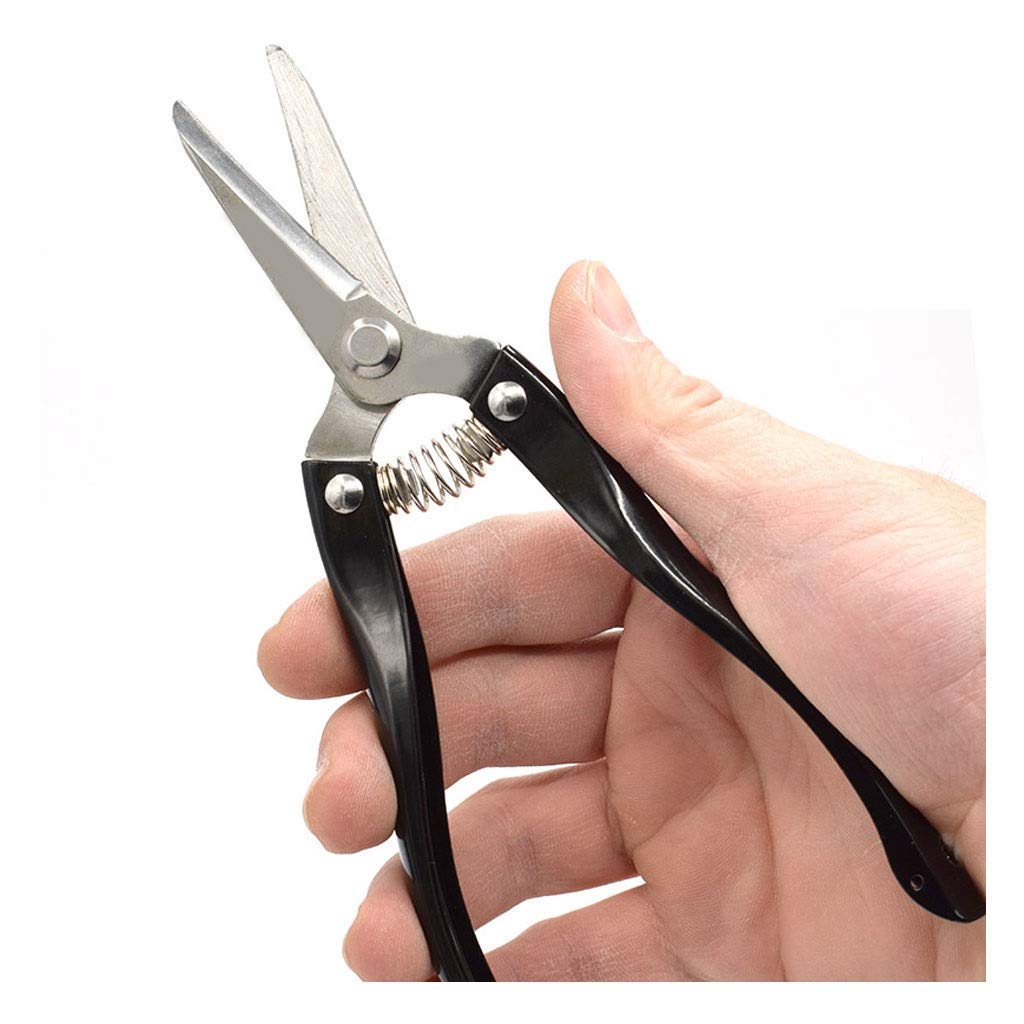 Professional Garden Pruning Shears - Straight Bypass Pruner for Grapes, Flowers & Plants | Manual Labor-Saving Gardening Tool | Multi-Function Black Shears for Trimming, Harvesting & Landscaping | Perfect for Home Gardeners, Vineyard Workers & Horticulture Enthusiasts